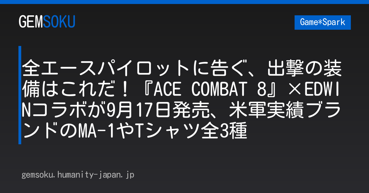 全エースパイロットに告ぐ、出撃の装備はこれだ！『ACE COMBAT 8』×EDWINコラボが9月17日発売、米軍実績ブランドのMA-1やTシャツ全3種